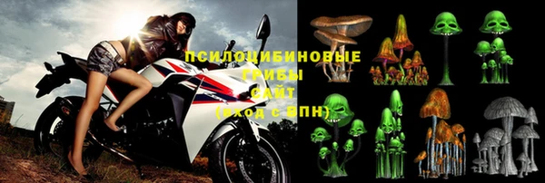 бошки Армянск