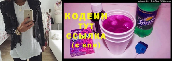 тгк Арсеньев