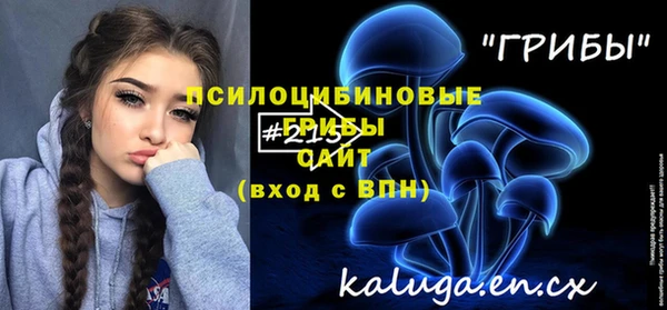 тгк Арсеньев