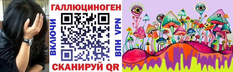 Купить  Суоярви  Галлюциногенные грибы Cubensis 